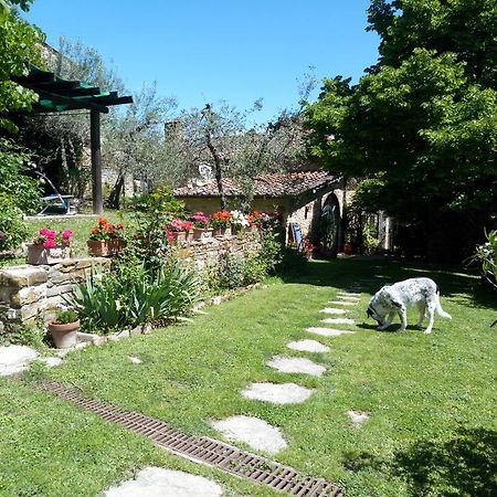 Casa Mezzuola Agriturismo Villa Greve in Chianti Dış mekan fotoğraf