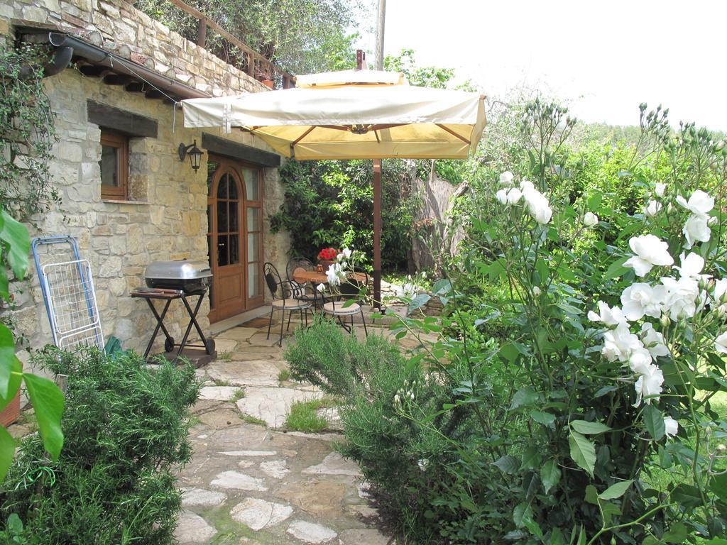 Casa Mezzuola Agriturismo Villa Greve in Chianti Oda fotoğraf