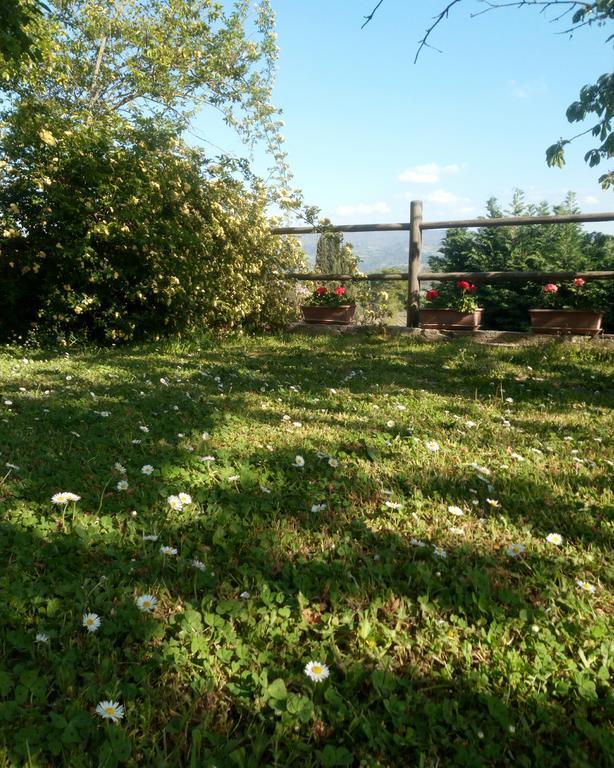 Casa Mezzuola Agriturismo Villa Greve in Chianti Dış mekan fotoğraf